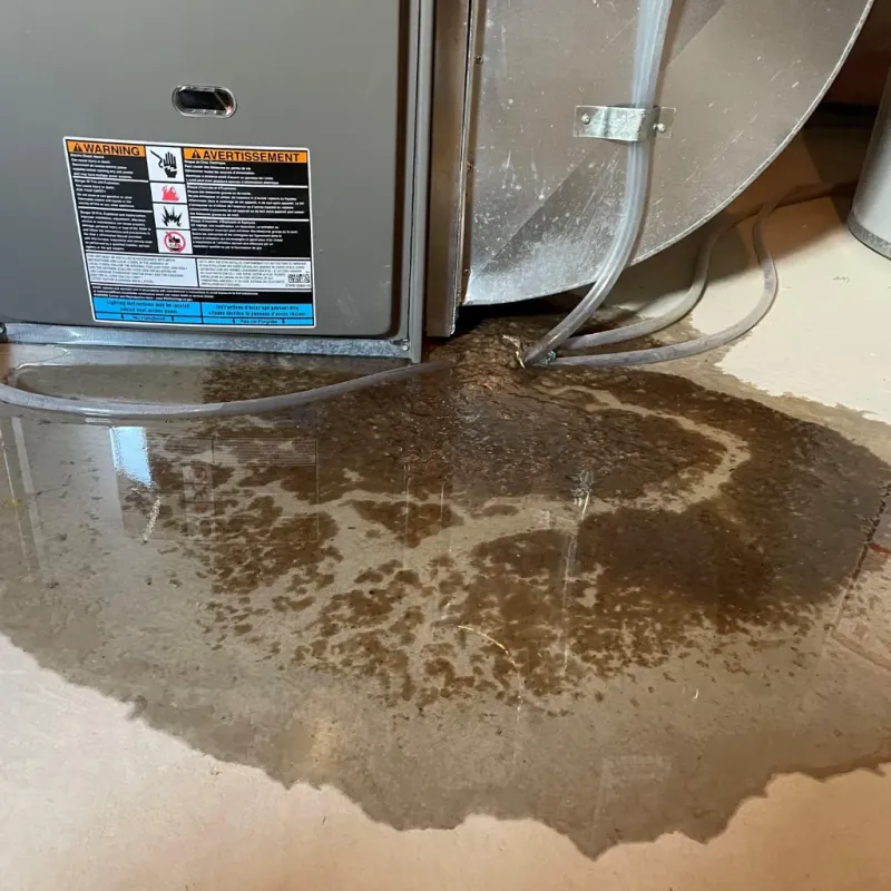 Appliance Leak Cleanup in Sutton-Alpine, AK