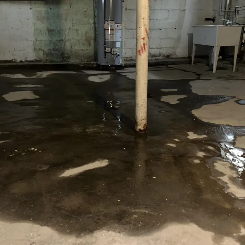 Emergency Water Extraction And Removal in Sutton-Alpine, AK